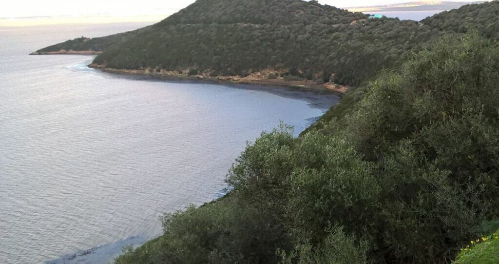 Lac Ichkeul Tunisie