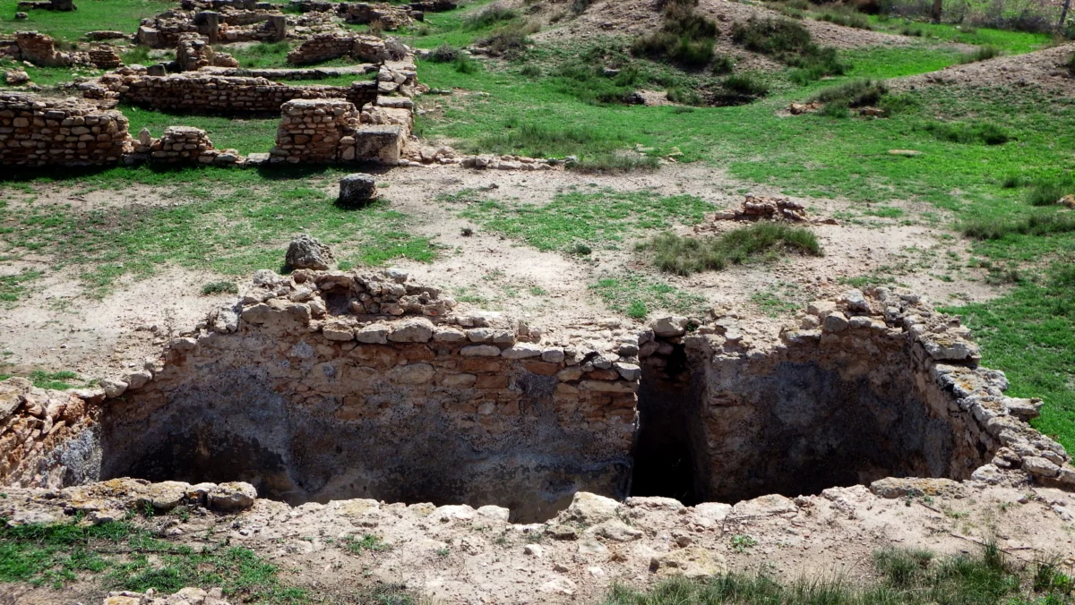 Acholla