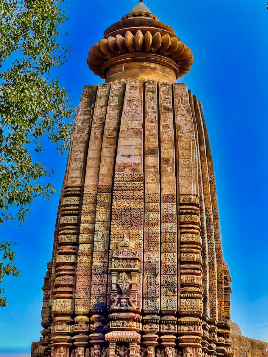 Korba – Curubis